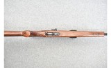CZ ~ Model 511 ~ .22 LR - 11 of 11