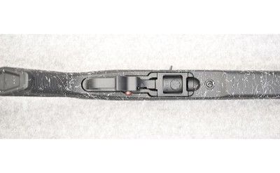 Ruger ~ Model: 10/22 ~ .22 LR - Image 9 of 11