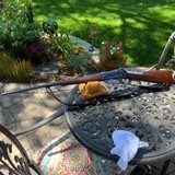 Winchester 1895 Special Order 35 WCF - 1 of 12