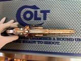 COLT 4-3/4” SSA .45 CUSTOM SHOP MASTER-ENGRAVED NICKEL BIRD’S HEAD BACKSTRAP, WITH ONE-PIECE BUFFALO HORN GRIP HAND FITTED BY NUTMEG – UNFIRED - 6 of 11