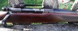 WINCHESTER PRE 64 MODEL 70 - CALIBER 300 H & H
MAGNUM- WITH BUEHLER SCOPE MOUNT & RINGS - 7 of 16