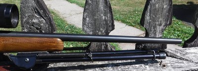 REMINGTON MODEL 788 BOLT ACTION RIFLE IN 6 MM REM. CALIBER - - Image 7 of 8