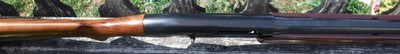 REMINGTON 1100 12 GAUGE SEMI AUTO SHOTGUN - 30