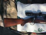 Ruger M77 RSI 243 - 5 of 6