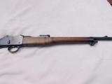 Martini-Henry Carbine in .303 - 11 of 12