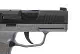 SIG SAUER P365 9MM - 7 of 8
