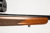 WINCHESTER 70 CLASSIC SPORTER 270WIN - 4 of 20