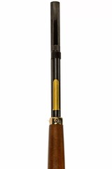 HENRY REPEATING ARMS H010BG 45-70 - 15 of 22