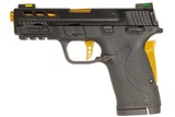 SMITH & WESSON M&P SHIELD EZ PC 380ACP - 3 of 4