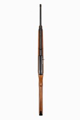 RUGER 10/22 CARBINE 50 YEAR SPECIAL 22LR - 4 of 4