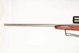 ROY LEWIS REMINGTON 700 300 WIN MAG - 7 of 8