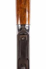 ARMI BERTUZZI VENERE BSLE 28 GA - 13 of 18