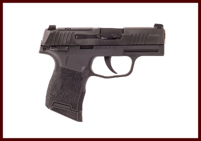 SIG SAUER P365 380ACP - Image 1 of 4