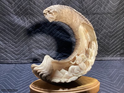 Tom Cooper carved Dall Sheep Horn