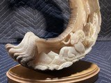 Tom Cooper carved Dall Sheep Horn - 2 of 5