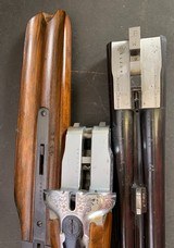 Beretta Silver Hawk 12 ga. Double Barrel Shotgun UNFIRED Made in Italy 1965 - 6 of 14