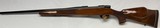 Weatherby Vanguard 243 caliber, Super Wood, Excellent condition - 3 of 15