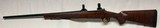 Winchester Model 70 Featherweight rifle, 243 caliber, Spectacular Wood, NEW in BOX - 2 of 15