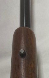 Winchester model 70 pre 1964, in 243 caliber. 95%++ Condition, Spectacular piece - 13 of 15