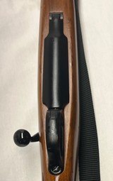 Ruger International model 77 in 243 caliber, Tang Safety, Excellent Condition - 11 of 14