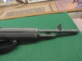 Springfield M1A - 10 of 13