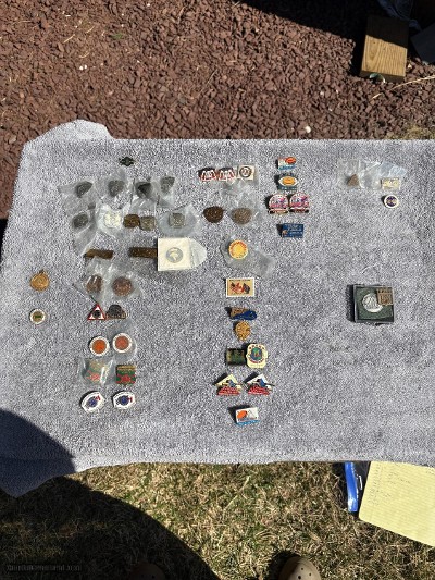 Grand American Pin Collection