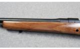 Dakota Arms 76 Classic .416 Remington - 6 of 7