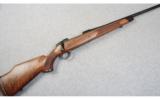 Sako Finn Bear 85M .270 Winchester - 1 of 1