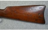 Winchester 1894
.25-35 WCF - 5 of 7