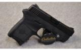 SMITH&WESSON Bodyguard 380
.380 ACP - 1 of 2