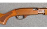 Remington Fieldmaster Model 572
.22 S,L And LR - 2 of 7