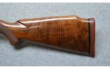 Winchester Model 50
.12 Gauge - 7 of 7