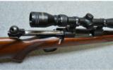 Winchester 70 . 270 Win - 7 of 7