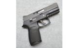 Sig Sauer P250,40 S&W - 1 of 2