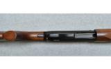 Winchester SX3, 12 Gauge - 3 of 7