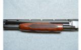 Winchester 12 Trap, 12 Gauge - 7 of 7
