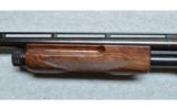 Browning BPS, 16 Gauge - 6 of 7