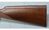 Winchester 1895 30-06 - 7 of 7