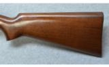 Remington 121
22 S, L, LR - 7 of 7
