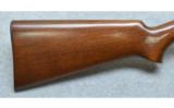 Remington 121
22 S, L, LR - 4 of 7