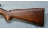Winchester ~ Model 75 ~ .22 LR - 9 of 9