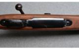 Winchester ~ Model 70 Sporter Varmint ~ .223 Rem - 3 of 8