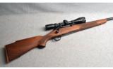 Winchester ~ Model 70 Sporter Varmint ~ .223 Rem - 1 of 8