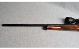 Sauer ~ 202 ~ .25-06 Remington - 7 of 9
