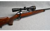 Sauer ~ 202 ~ .25-06 Remington - 1 of 9