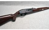 Remington ~ Nylon 66 ~ .22 LR - 1 of 9