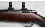 Browning ~ A-Bolt ~ .22 Long Rifle - 7 of 9