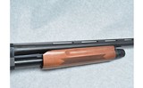 Tristar ~ Cobra Wood ~ 12 Gauge - 4 of 10