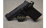 Springfield ~ 911 ~ .380 ACP - 2 of 2