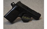 Springfield ~ 911 ~ .380 ACP - 1 of 2